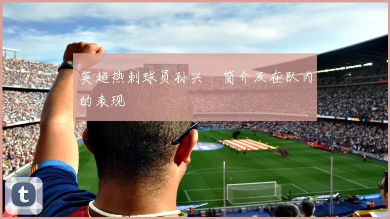 英超热刺球员孙兴慜简介及在队内的表现