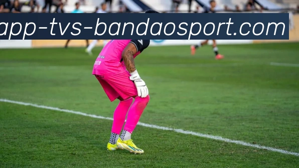 半岛体育平台生态图