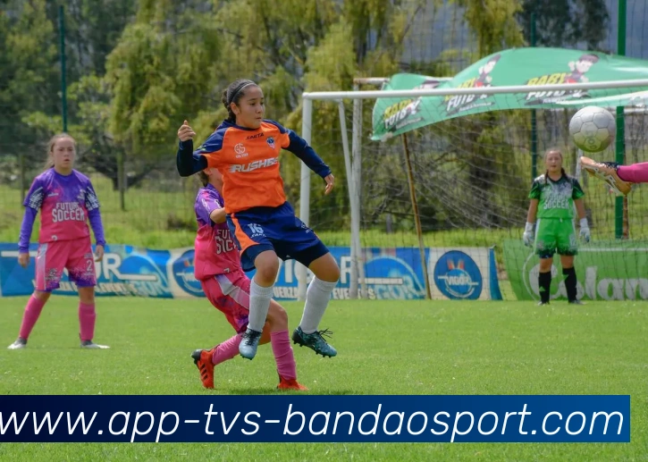 半岛体育全站App